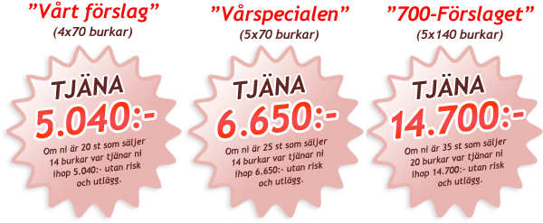 Tjäna pengar genom att sälja kakor