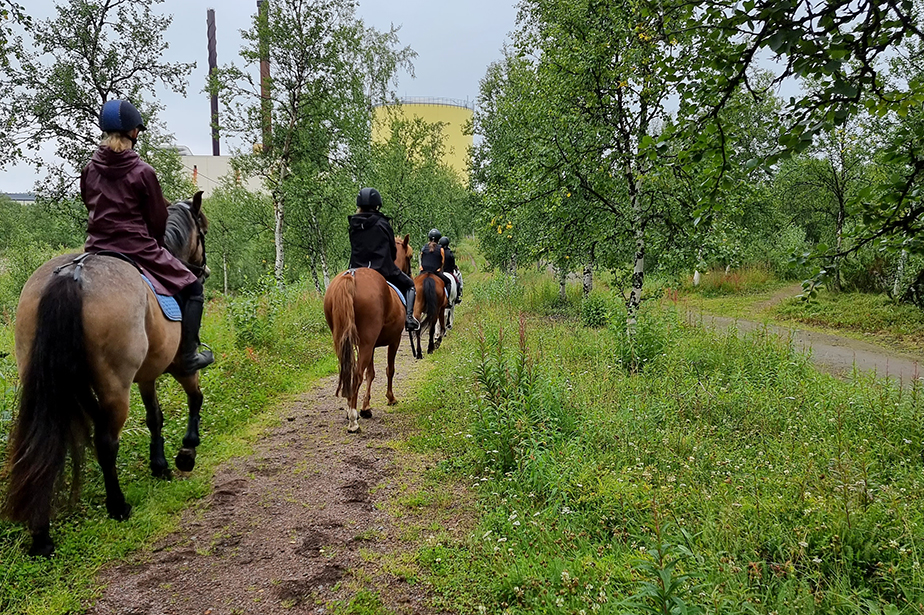 En ny ponny står på önskelistan